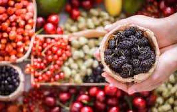 Which Antioxidants Are Best For Health?