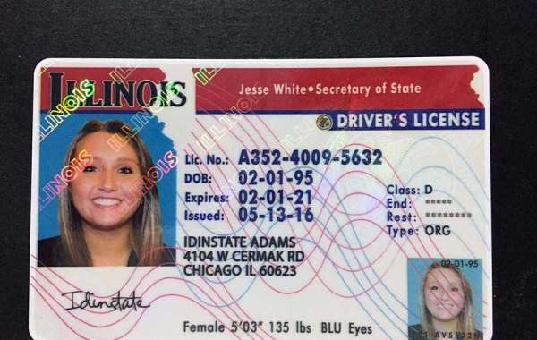 the usage  of a fake id from idinstate